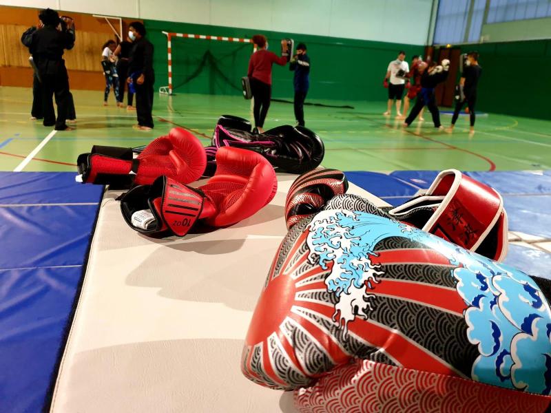 Club arts martiaux Meaux Warriors Factory - Karaté Mix Boxe Vietnamienne Tai Chi